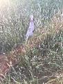 Clicca sull'immagine per ingrandirla. 

Nome:   ImageUploadedByTapatalk1451509028.750267.jpg 
Visite: 243 
Dimensione: 18.6 KB 
ID: 2176643