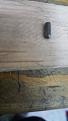 Clicca sull'immagine per ingrandirla. 

Nome:   IMG-20180210-WA0010.jpg 
Visite: 498 
Dimensione: 16.8 KB 
ID: 2179906