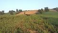Clicca sull'immagine per ingrandirla. 

Nome:   IMG-20190111-WA0002.jpg 
Visite: 374 
Dimensione: 61.6 KB 
ID: 2180387