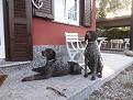 Clicca sull'immagine per ingrandirla. 

Nome:   30 07 2019.jpg 
Visite: 482 
Dimensione: 58.0 KB 
ID: 2180805