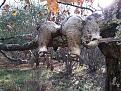 Clicca sull'immagine per ingrandirla. 

Nome:   mini_20191110_112058.jpg 
Visite: 199 
Dimensione: 65.3 KB 
ID: 2180967