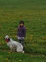 Clicca sull'immagine per ingrandirla. 

Nome:   Don.jpg 
Visite: 302 
Dimensione: 35.5 KB 
ID: 2181247