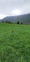 Clicca sull'immagine per ingrandirla. 

Nome:   Geco.jpg 
Visite: 275 
Dimensione: 34.8 KB 
ID: 2181248