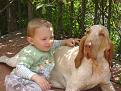 Clicca sull'immagine per ingrandirla. 

Nome:   cuccioli mela 022.jpg 
Visite: 600 
Dimensione: 54.9 KB 
ID: 2185027