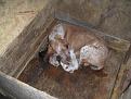 Clicca sull'immagine per ingrandirla. 

Nome:   PICT1041.jpg 
Visite: 572 
Dimensione: 33.1 KB 
ID: 2185133