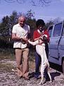 Clicca sull'immagine per ingrandirla. 

Nome:   Nuova cartella 3335.jpg 
Visite: 1129 
Dimensione: 49.9 KB 
ID: 2187043