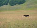 Clicca sull'immagine per ingrandirla. 

Nome:   044.jpg 
Visite: 450 
Dimensione: 40.1 KB 
ID: 2188237