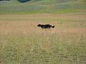 Clicca sull'immagine per ingrandirla. 

Nome:   045.jpg 
Visite: 409 
Dimensione: 43.6 KB 
ID: 2188238