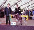 Clicca sull'immagine per ingrandirla.&nbsp;

Nome:   Mix + Roby 08 1312.jpg&nbsp;
Visite: 517&nbsp;
Dimensione: 60.4 KB&nbsp;
ID: 2188883