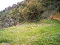 Clicca sull'immagine per ingrandirla. 

Nome:   CAM_0996.jpg 
Visite: 653 
Dimensione: 60.3 KB 
ID: 2190141