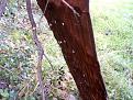 Clicca sull'immagine per ingrandirla. 

Nome:   CAM_1008.jpg 
Visite: 634 
Dimensione: 65.5 KB 
ID: 2190148