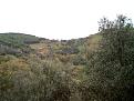 Clicca sull'immagine per ingrandirla. 

Nome:   CAM_1012.jpg 
Visite: 595 
Dimensione: 58.7 KB 
ID: 2190150