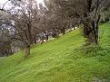 Clicca sull'immagine per ingrandirla. 

Nome:   CAM_1014.jpg 
Visite: 614 
Dimensione: 58.5 KB 
ID: 2190151