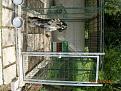 Clicca sull'immagine per ingrandirla. 

Nome:   DSCN1607.jpg 
Visite: 711 
Dimensione: 61.3 KB 
ID: 2190624