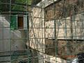Clicca sull'immagine per ingrandirla. 

Nome:   DSCN1608.jpg 
Visite: 709 
Dimensione: 61.6 KB 
ID: 2190625