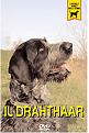 Clicca sull'immagine per ingrandirla. 

Nome:   img-277-running-tv-drahthaar-dvd.jpg 
Visite: 502 
Dimensione: 17.3 KB 
ID: 2192482