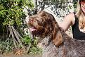 Clicca sull'immagine per ingrandirla. 

Nome:   MARTINA.jpg 
Visite: 579 
Dimensione: 61.1 KB 
ID: 2193743