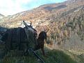 Clicca sull'immagine per ingrandirla. 

Nome:   Immag0629.jpg 
Visite: 576 
Dimensione: 60.3 KB 
ID: 2194265