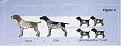 Clicca sull'immagine per ingrandirla. 

Nome:   ge3.jpg 
Visite: 945 
Dimensione: 12.9 KB 
ID: 2195395