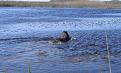 Clicca sull'immagine per ingrandirla.&nbsp;

Nome:   170.jpg&nbsp;
Visite: 590&nbsp;
Dimensione: 51.4 KB&nbsp;
ID: 2195445