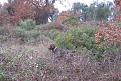 Clicca sull'immagine per ingrandirla.&nbsp;

Nome:   Immagine 022.jpg&nbsp;
Visite: 578&nbsp;
Dimensione: 60.2 KB&nbsp;
ID: 2195446