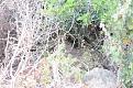 Clicca sull'immagine per ingrandirla.&nbsp;

Nome:   2.jpg&nbsp;
Visite: 535&nbsp;
Dimensione: 66.0 KB&nbsp;
ID: 2197429