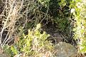 Clicca sull'immagine per ingrandirla.&nbsp;

Nome:   3.jpg&nbsp;
Visite: 513&nbsp;
Dimensione: 68.2 KB&nbsp;
ID: 2197430