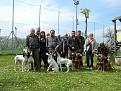 Clicca sull'immagine per ingrandirla. 

Nome:   DSCN7756bis.jpg 
Visite: 621 
Dimensione: 58.6 KB 
ID: 2199904