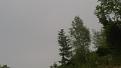 Clicca sull'immagine per ingrandirla. 

Nome:   20170528_060417.jpg 
Visite: 455 
Dimensione: 23.4 KB 
ID: 2205630