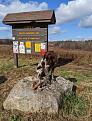 Clicca sull'immagine per ingrandirla. 

Nome:   dl4.jpg 
Visite: 121 
Dimensione: 188.1 KB 
ID: 2392804