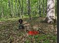 Clicca sull'immagine per ingrandirla. 

Nome:   dl5.jpg 
Visite: 127 
Dimensione: 430.7 KB 
ID: 2392806