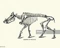 Clicca sull'immagine per ingrandirla. 

Nome:   istockphoto-1267183817-2048x2048.jpg 
Visite: 108 
Dimensione: 117.4 KB 
ID: 2401054