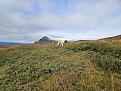 Clicca sull'immagine per ingrandirla. 

Nome:   20240927_095728.jpg 
Visite: 522 
Dimensione: 294.5 KB 
ID: 2435938