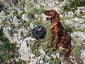 Clicca sull'immagine per ingrandirla. 

Nome:   IMG20241204121305.jpg 
Visite: 534 
Dimensione: 515.0 KB 
ID: 2437040