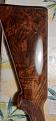 Clicca sull'immagine per ingrandirla. 

Nome:   20230115_064449.jpg 
Visite: 530 
Dimensione: 55.8 KB 
ID: 2439141