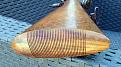 Clicca sull'immagine per ingrandirla. 

Nome:   IMG-20250506-WA0021.jpg 
Visite: 495 
Dimensione: 235.1 KB 
ID: 2445788