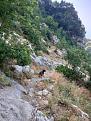Clicca sull'immagine per ingrandirla. 

Nome:   IMG20250615095221.jpg 
Visite: 650 
Dimensione: 189.2 KB 
ID: 2447482