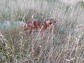 Clicca sull'immagine per ingrandirla. 

Nome:   IMG20250807201802.jpg 
Visite: 187 
Dimensione: 417.7 KB 
ID: 2449607