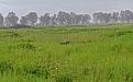 Clicca sull'immagine per ingrandirla.&nbsp;

Nome:   snipe 2.jpg&nbsp;
Visite: 926&nbsp;
Dimensione: 159.3 KB&nbsp;
ID: 2460529