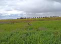 Clicca sull'immagine per ingrandirla.&nbsp;

Nome:   snipe 1.jpg&nbsp;
Visite: 920&nbsp;
Dimensione: 245.7 KB&nbsp;
ID: 2460530