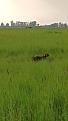 Clicca sull'immagine per ingrandirla.&nbsp;

Nome:   VID_20260323_160359_exported_22448.jpg&nbsp;
Visite: 788&nbsp;
Dimensione: 56.1 KB&nbsp;
ID: 2460706