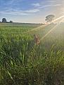 Clicca sull'immagine per ingrandirla.&nbsp;

Nome:   IMG-20260606-WA0012.jpg&nbsp;
Visite: 47&nbsp;
Dimensione: 145.4 KB&nbsp;
ID: 2464240