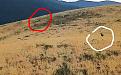 Clicca sull'immagine per ingrandirla.&nbsp;

Nome:   VID_20260618_204822_exported_3590~4.jpg&nbsp;
Visite: 23&nbsp;
Dimensione: 204.4 KB&nbsp;
ID: 2464679