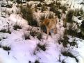altea su neve bella posa 240307