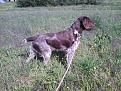 in ferma.....con corda
