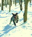 Tex corre