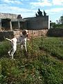 giada e brioss 088