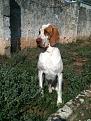 Tutto stile......