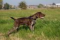 il piccolo (per dire ) Rasty