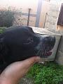 IMG 0383